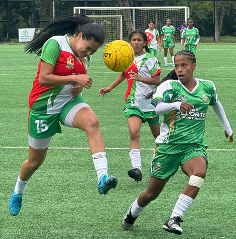 convocatoria para las sedes de los Juegos Deportivos Institucionales 2026